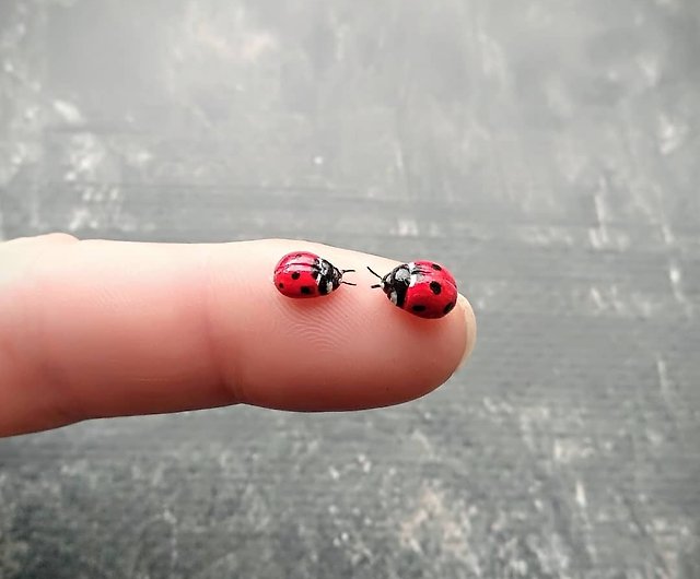 Pin on Miraculous Ladybug