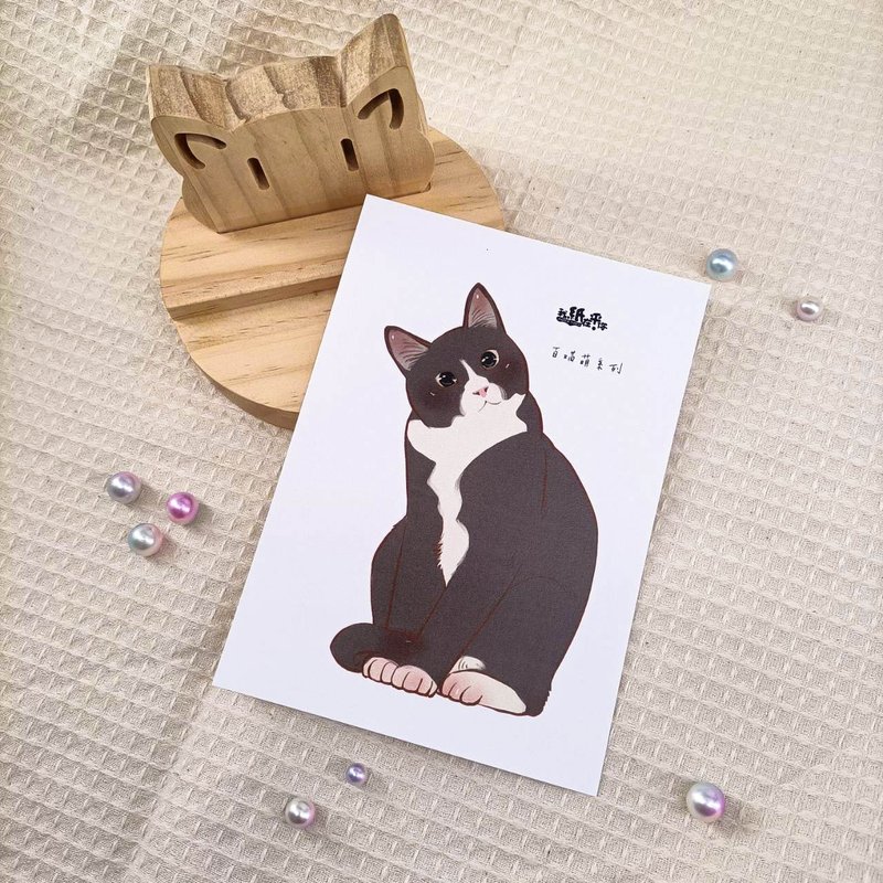 ME183-110_我紙在乎你百喵萌明信片_postcard - 卡片/明信片 - 紙 多色
