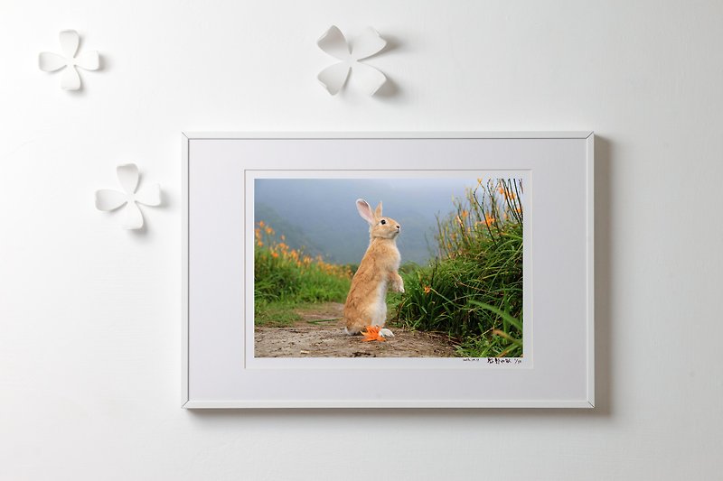 Rabbit Original Art Photography - "look quiet" - โปสเตอร์ - กระดาษ 
