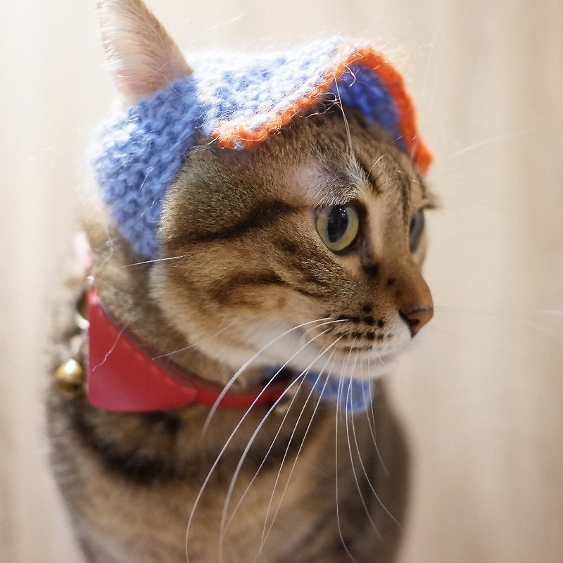 阿嬤的愛 純手工貓咪毛線帽-球僮帽 - 寵物衣服 - 其他材質 藍色