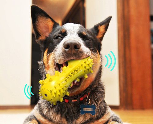 柴犬大學 SHIBA UNIVERSITY 柴犬大學 寵物耐咬潔牙玩具 耐咬玩具 發聲玩具 狗玩具 磨牙玩具