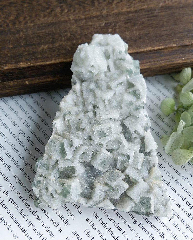 Fluorite 福建產地 綠螢石 砂糖螢石 糖霜 天然礦石 原礦 - 擺飾/家飾品 - 其他材質 