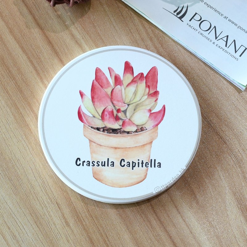 Crassula Capitella - ttgarden original ceramic absorbent coaster - Coasters - Pottery 