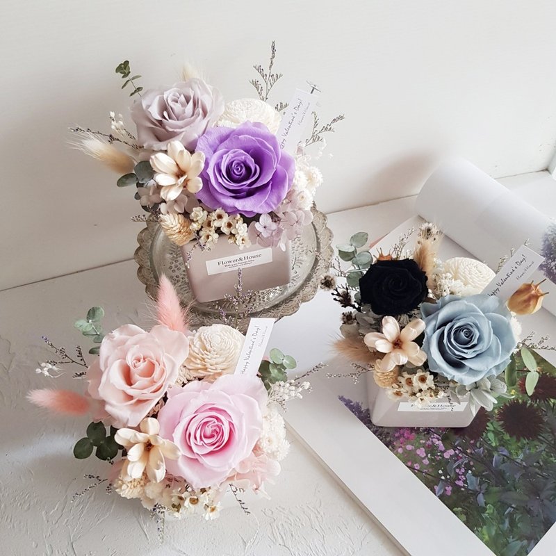 Valentine's Day | 2 everlasting flowers + dried rhododendron flowers | pink, purple and blue | fantasy roses | mini potted flowers - ช่อดอกไม้แห้ง - พืช/ดอกไม้ หลากหลายสี