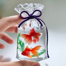 池波屋｜日本の金魚作品専門店【ブランド直営】Pinkoiアジア最大