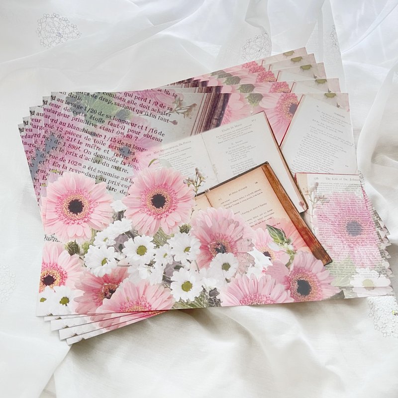 Gerbera books - Other - Paper Pink