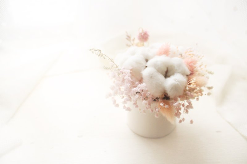 Flower berry sweet cotton small round table flower light purple not withered star and cotton dry flower ceremony - Dried Flowers & Bouquets - Plants & Flowers Pink