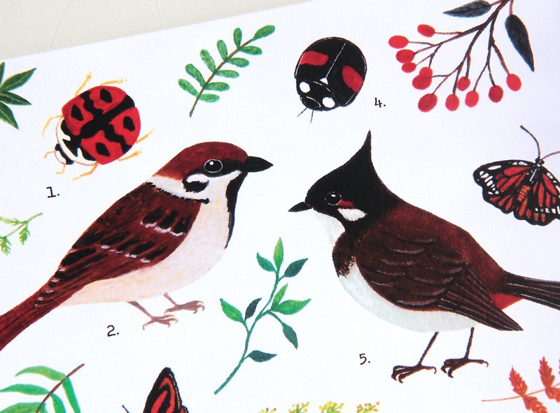 Hong Kong's fallen small creatures postcard postcard wild bird ladybug butterfly - Cards & Postcards - Paper Red