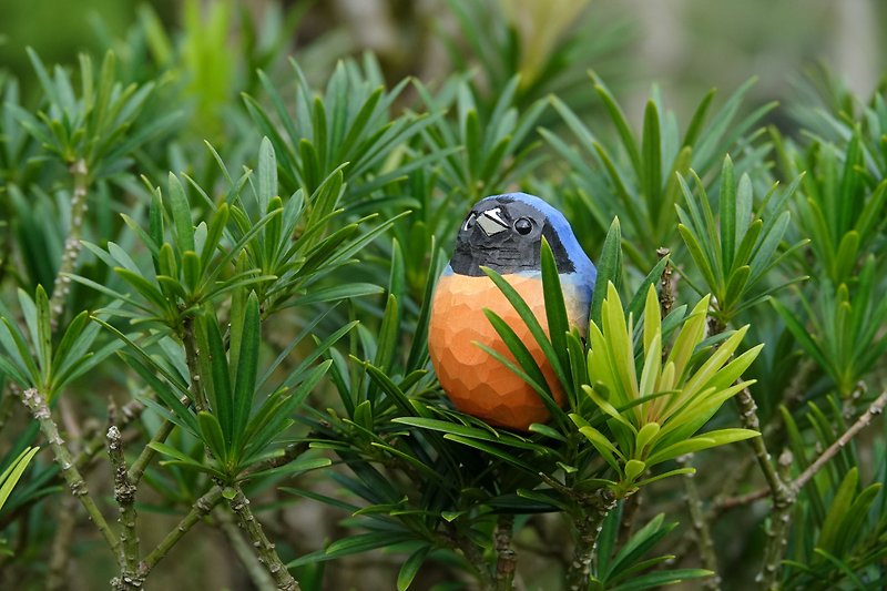 Hand-carved Wooden Bird (Fujian Niltava) - Items for Display - Wood Orange