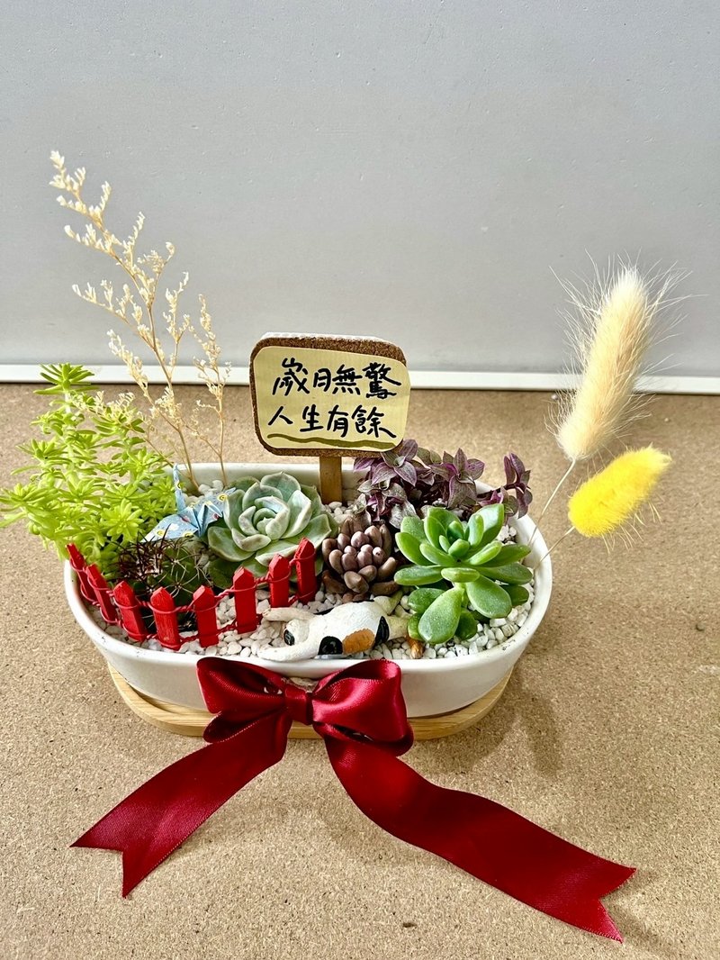 多肉組盆 多肉植物 日式枯山水 三花貓 玳瑁貓 貓奴送禮 貓咪 禪 - 盆栽/植栽 - 植物．花 綠色