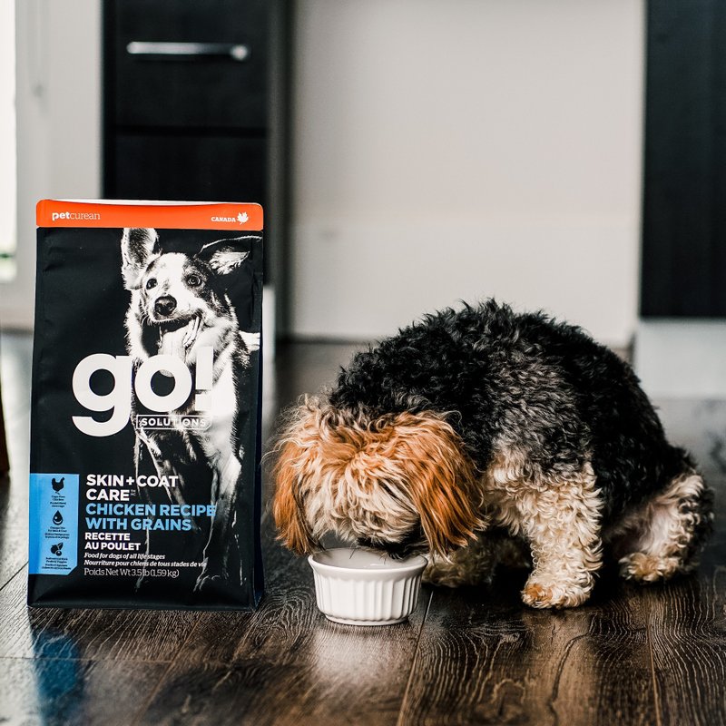 [Dog Staple Food] go! Chicken, Vegetables and Fruits + Brown Rice Whole Dog Comprehensive Series Fur Health Care Dog Food - Dry/Canned/Fresh Food - Fresh Ingredients 