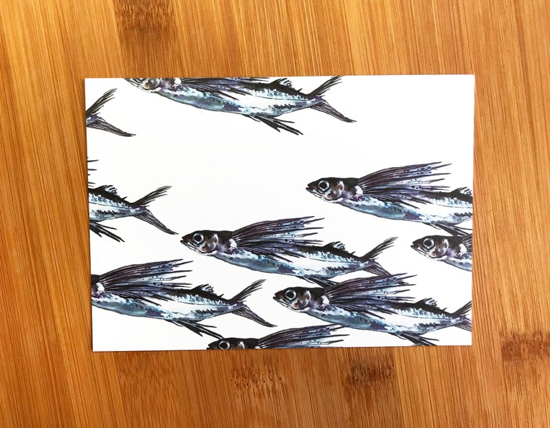 飛魚明信片 - 卡片/明信片 - 紙 藍色