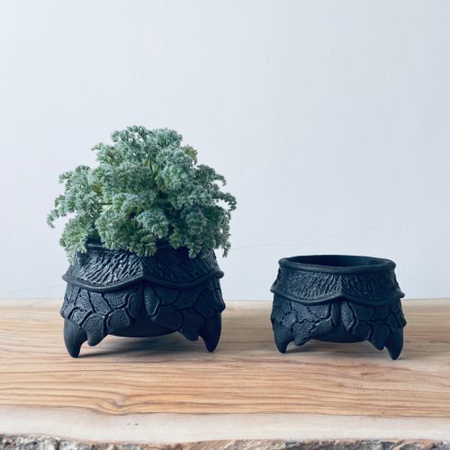 星谷 星谷Light Forest 飛行蝕。甲蟲 水泥盆 植木缽 盆器 臺灣文創手