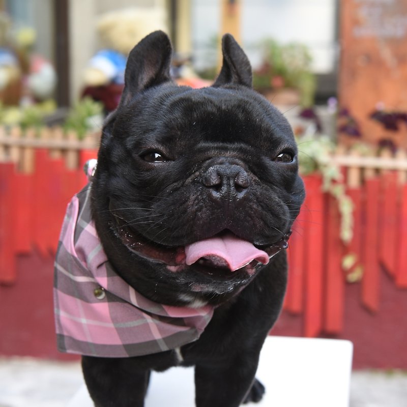 [ZAZAZOO] M code dog collar accessories - pink - without collar - ปลอกคอ - เส้นใยสังเคราะห์ 