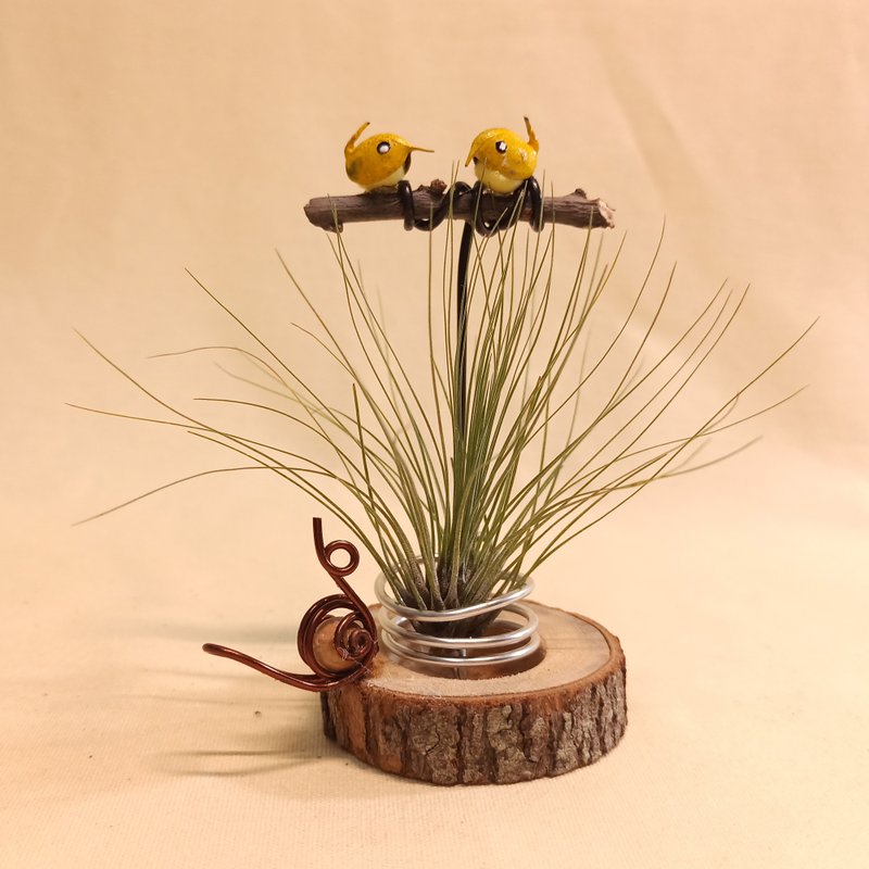 【鍋牛與黃鶯鳥】空氣鳳梨/圓形實木底座 - 植栽/盆栽 - 木頭 卡其色