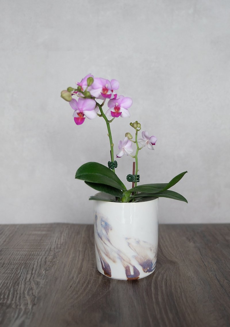 蘭の花瓶 - 花瓶・植木鉢 - 陶器 ホワイト
