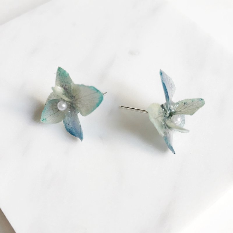 Real flower Hydrangea Earrings S925 silver - Earrings & Clip-ons - Plants & Flowers Blue