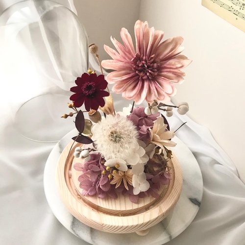 Comma Flower 荳點花飾 紫紅雛菊蒲公英永生花玻璃鐘罩 附盒子 情人節生日 週年 升遷