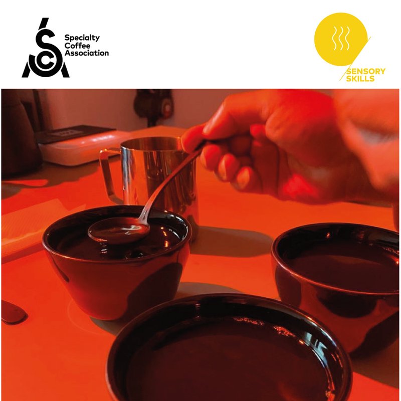 Specialty Coffee Association (SCA) Sensory Skills Foundation - Cuisine - Other Materials 