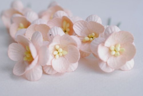 makemefrompaper Paper flower, 50 pieces, size 2.5 cm. Cherry blossom, Sakura, pale pink color.