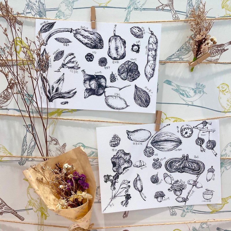 【Huang Yongfang】Seed Postcard - Cards & Postcards - Paper 