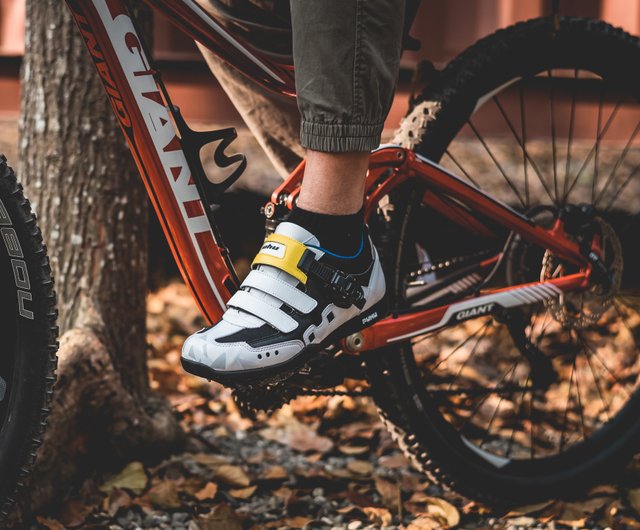 flywheel bike shoes