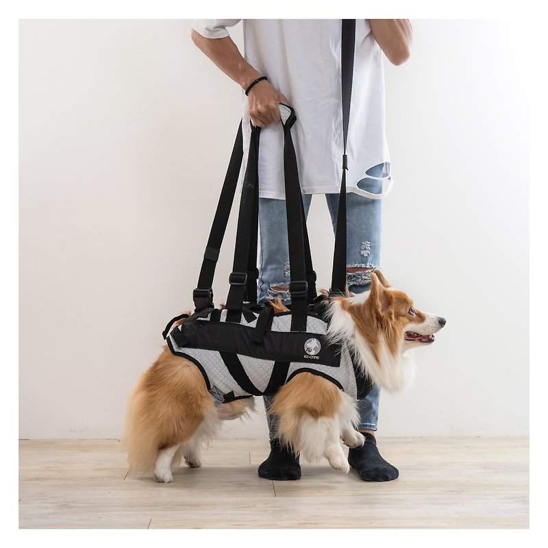 Pet auxiliary clothing Corgi mid-length dog auxiliary walking up and down stairs mobility-impaired pet assistive device - Clothing & Accessories - Other Man-Made Fibers 