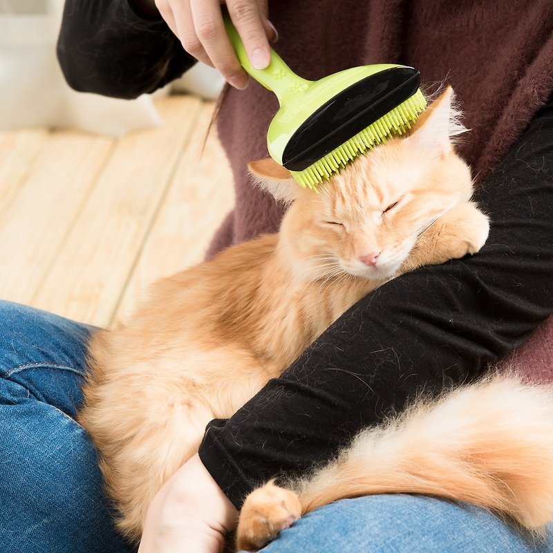 專利點點按摩寵物梳(綠色款-一般毛量)貓狗都可使用 寵物梳毛 - 寵物沐浴乳/洗毛精 - 塑膠 綠色