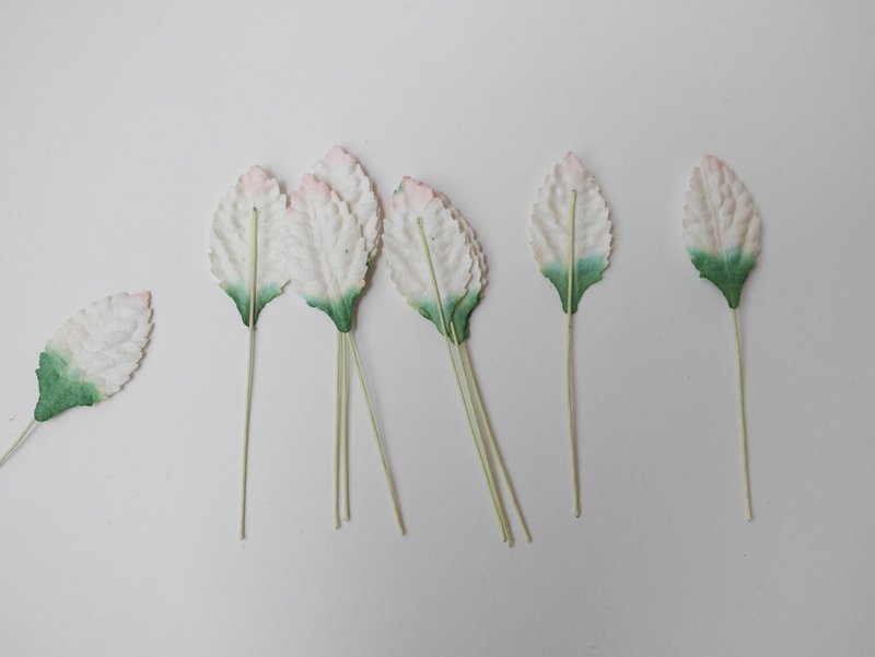 Paper Flower, Gift decoration DIY supplies: 100 pieces, green brush pink leaves - 其他 - 紙 綠色