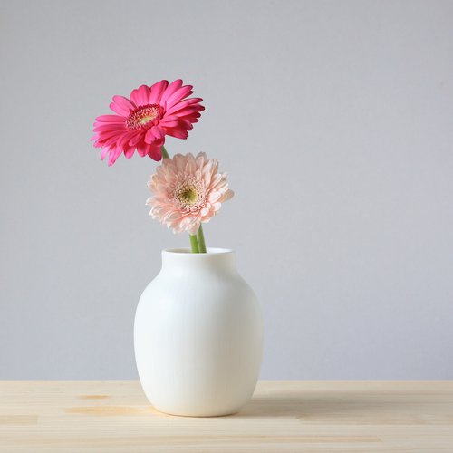 studio bwanji 白い磁器の花器 白磁 - 39