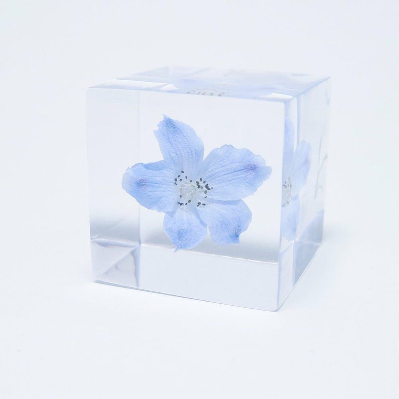 Sola cube Bird flower cube_Noble, give you happiness - ของวางตกแต่ง - พืช/ดอกไม้ สีใส