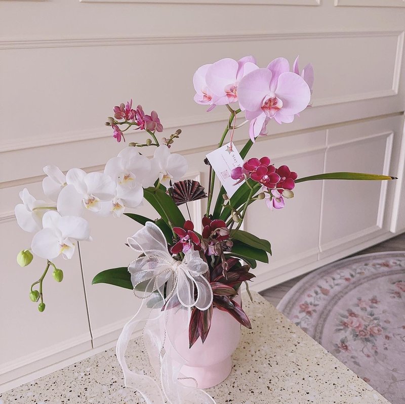 | Taoyuan Qingpu | Corporate teaching and flowers as a companion give yourself a pot of orchids - จัดดอกไม้/ต้นไม้ - พืช/ดอกไม้ 