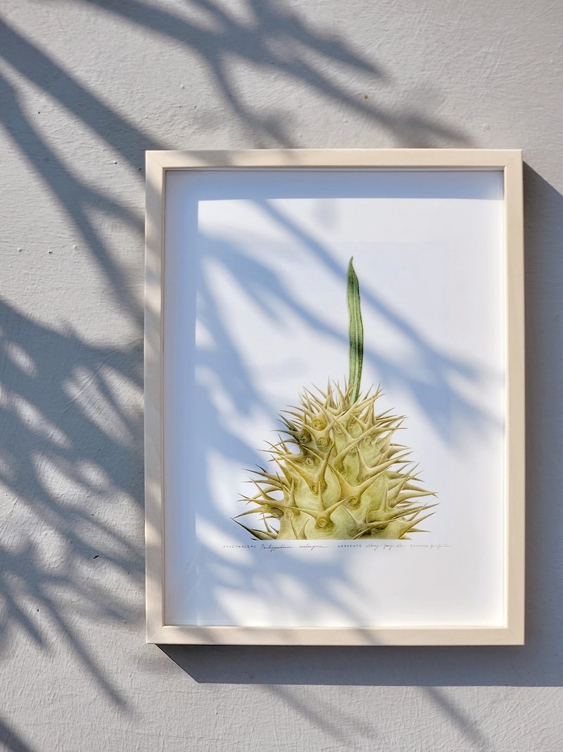 Pachypodium ambongense | Giclee - Posters - Other Materials Multicolor