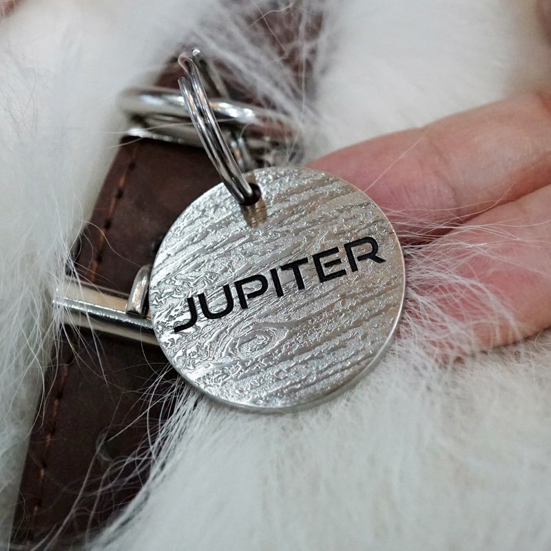 個性化寵物牌 定制狗牌貓牌 項圈 Jupiter 狗牌 - 項圈/牽繩 - 不鏽鋼 銀色