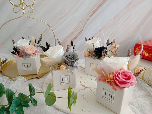 藍芯花藝 ‧ Lanshin Floral Studio 【藍芯手作】優雅女伶・永生玫瑰盆花 畢業花束 生日禮物 開幕禮