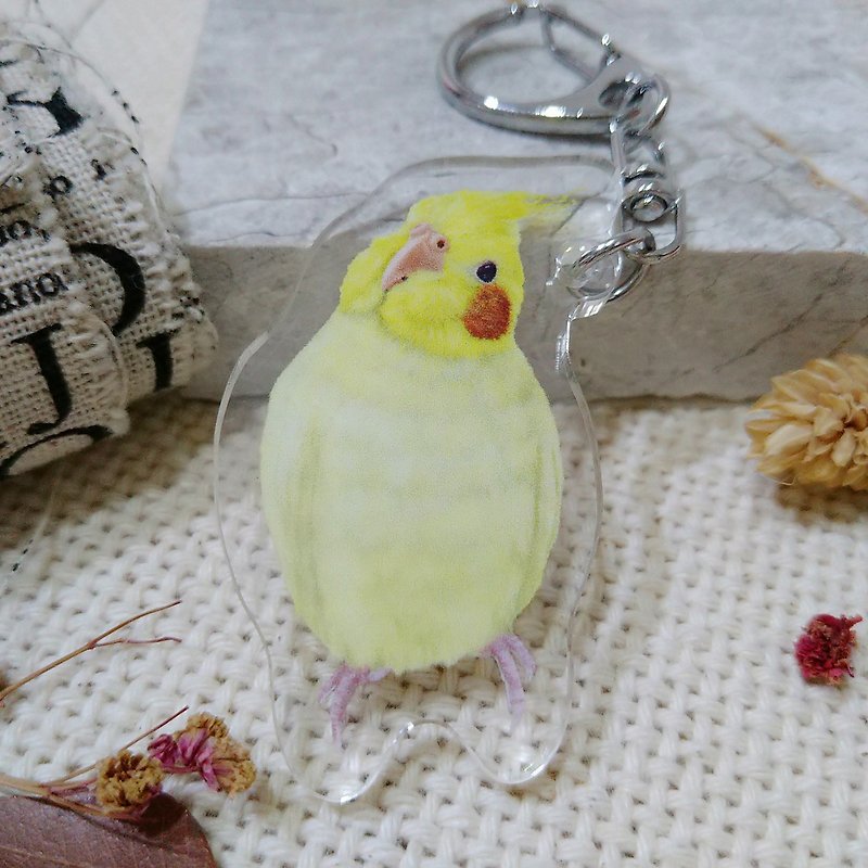 Cockatiel_Tilted head and whole body- Acrylic pendant (key ring)-Double-sided pattern-New manufacturer - ที่ห้อยกุญแจ - อะคริลิค 