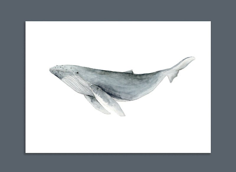 ジェイド・キー・ペーパー/ザトウクジラ/手描きのポストカード - カード・はがき - 紙 ブルー