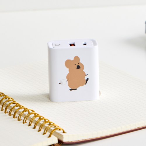 TOYSELECT DINOTAENG經典-秘密棉花糖USB3.0+PD20W雙孔充電器