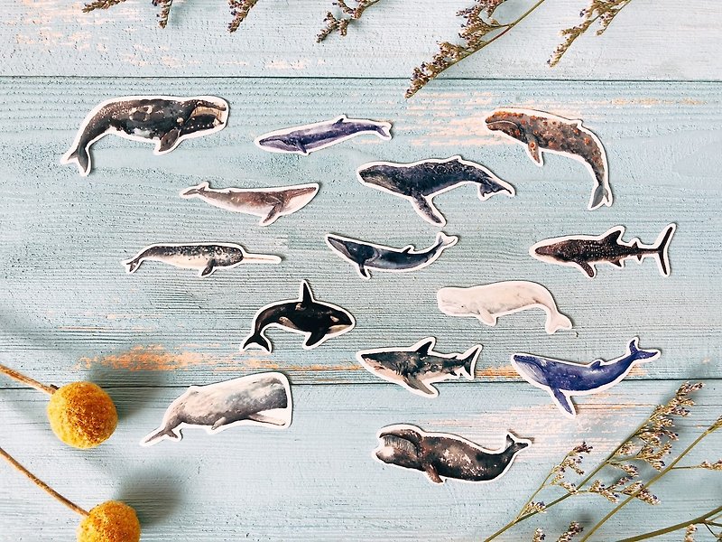 海底生物 鯨魚貼紙 (25入) - 貼紙 - 紙 藍色