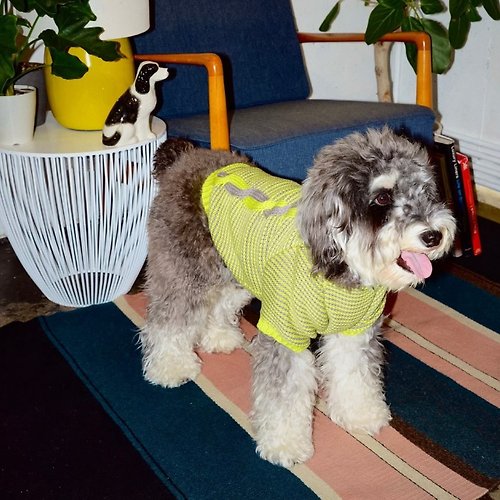 pegion-dog CABLE COTTON SWEATER - YELLOW/GREY