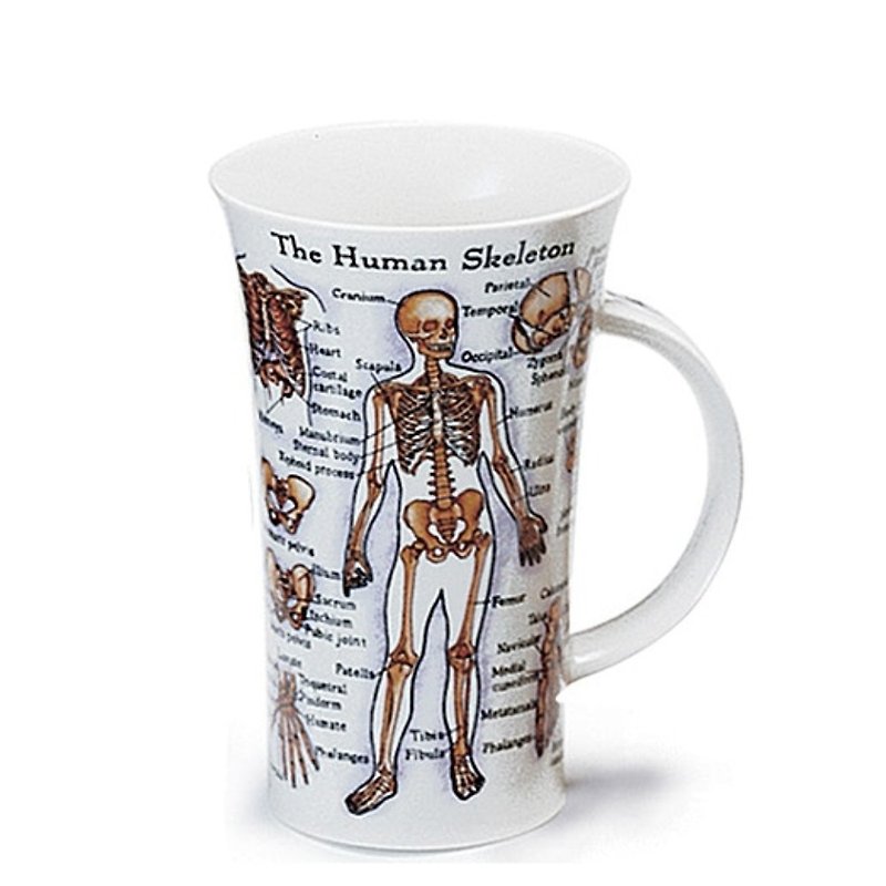 【100%英國製造】人體奧秘骨瓷馬克杯 - 咖啡杯 - 瓷 