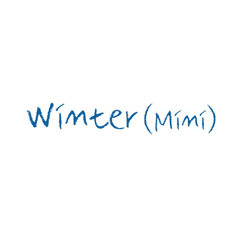 Small winter (겨울 미니) Set pack - 貼紙 - 紙 