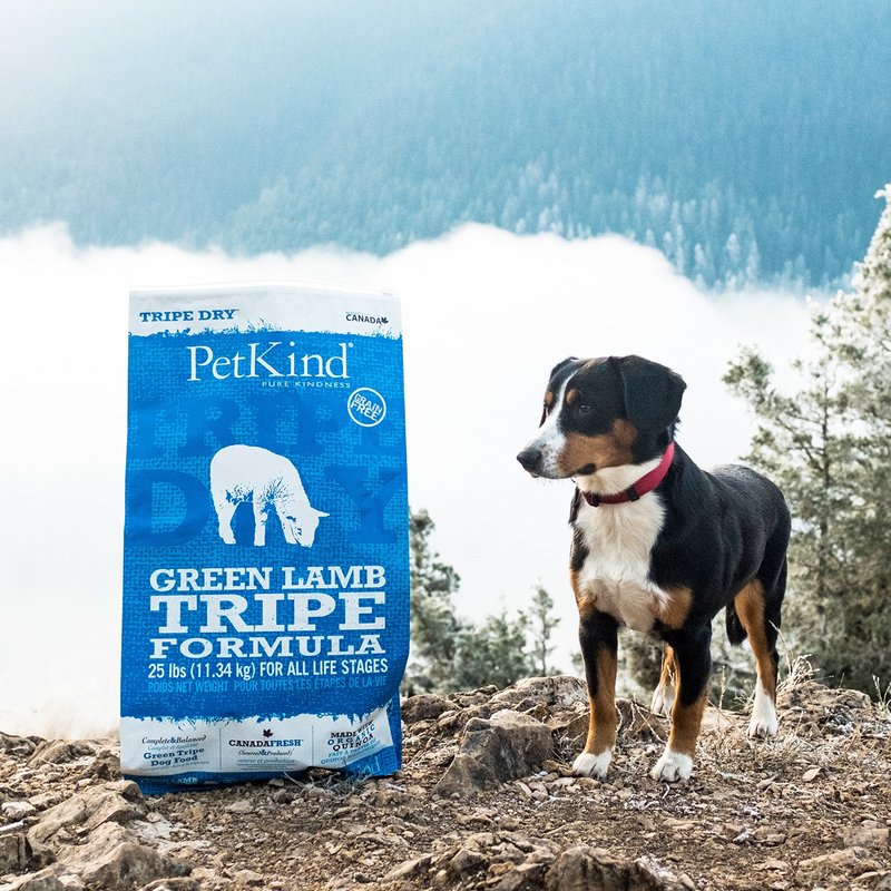 【狗主食】PetKind 野胃 火雞 天然鮮草肚狗糧 狗飼料 皮毛保健 - 狗罐頭/鮮食 - 新鮮食材 