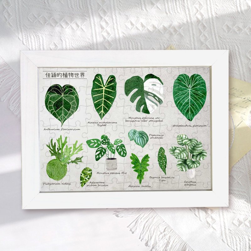 客製化 植物 拼圖 相框 觀葉植物 - 拼圖/砌圖 - 紙 多色