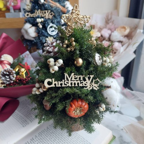 北欧永遠の杉クリスマスツリークリスマスツリー/クリスマス手作り