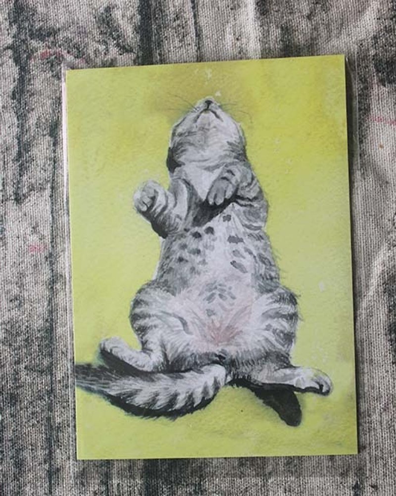 Sleeping cat postcards a group of five - การ์ด/โปสการ์ด - กระดาษ หลากหลายสี