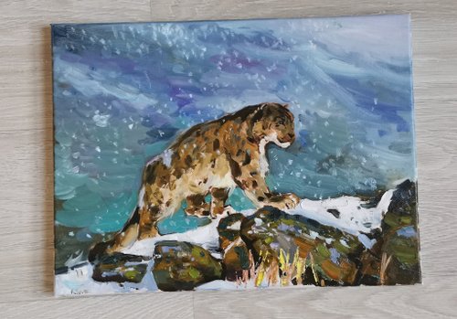 【絵画】ネイチャーアート「オウギガイを襲うヒョウモンダコ」原画 Y-11 個展展示作品/24】オオカミ 額装 額付き 油彩画 油絵 原画