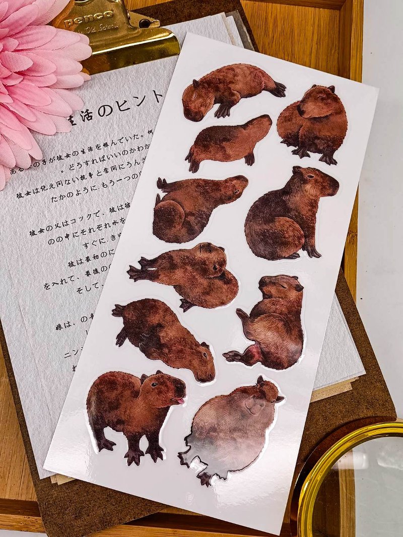 5K070-11_五口美-乾式轉印貼紙_ I am pretty Transfer Stickers - 貼紙 - 其他材質 多色
