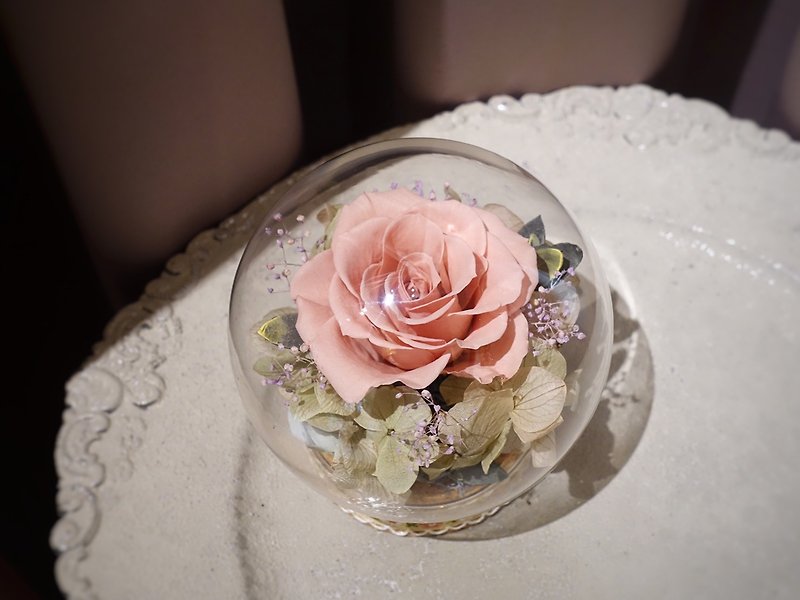Everlasting Flower Glass Cover Gentle Powder - ตกแต่งต้นไม้ - พืช/ดอกไม้ สึชมพู