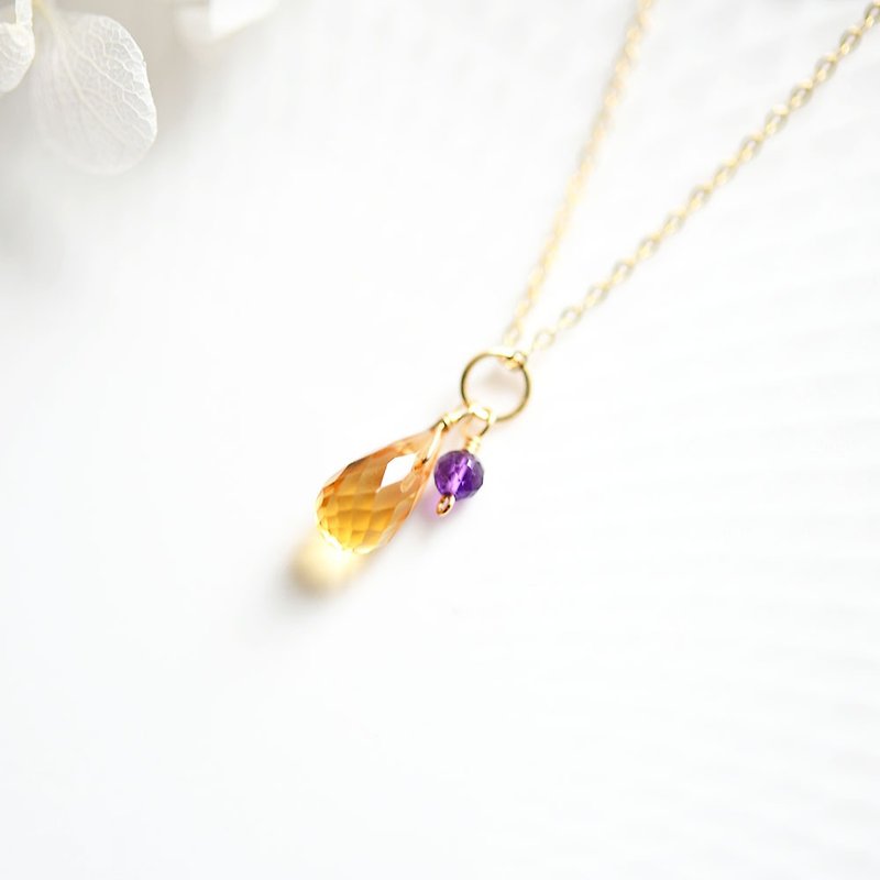 Prosperity wealth lucky Stone citrine and love of the guardian Stone amethyst of twins necklace February / November birthstone - Necklaces - Gemstone Purple